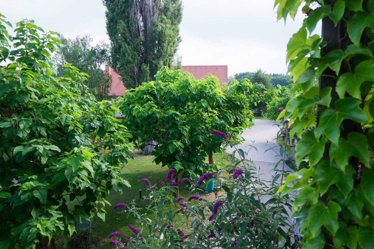 Turisticna Kmetija Vrezner Apartment Zgornja Kungota Экстерьер фото